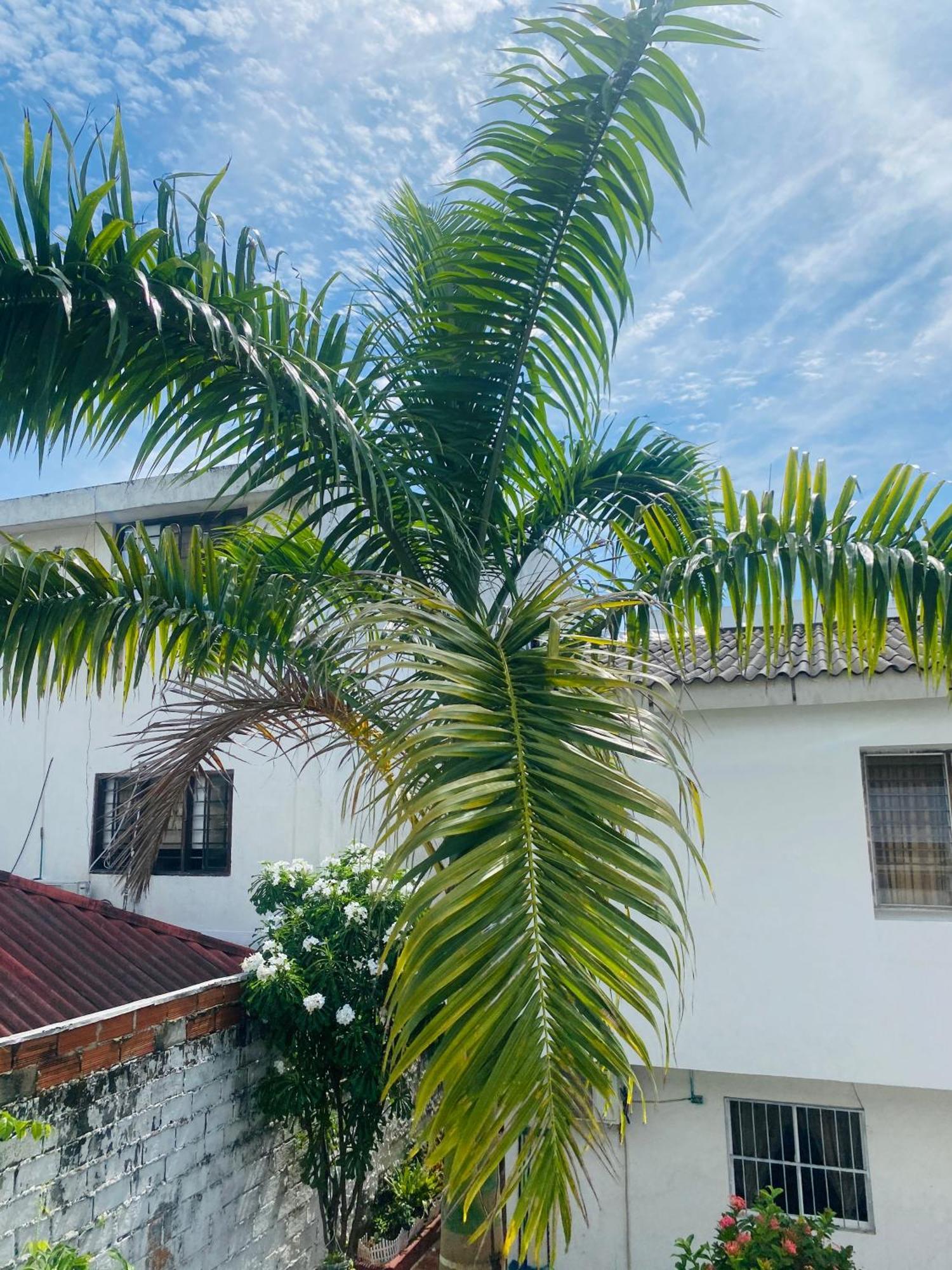 Pensión Paraiso Pie De La Popa Cartagena