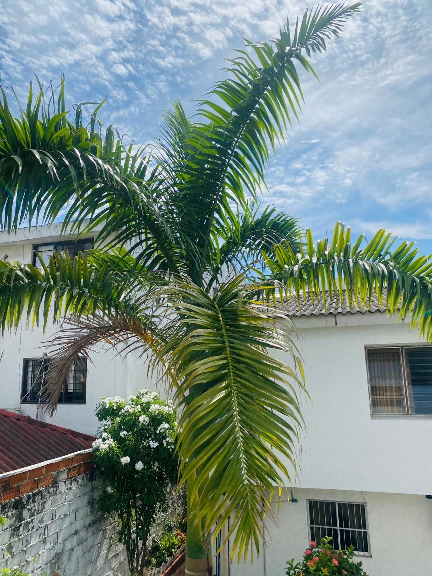 Pensión Paraiso Pie De La Popa *