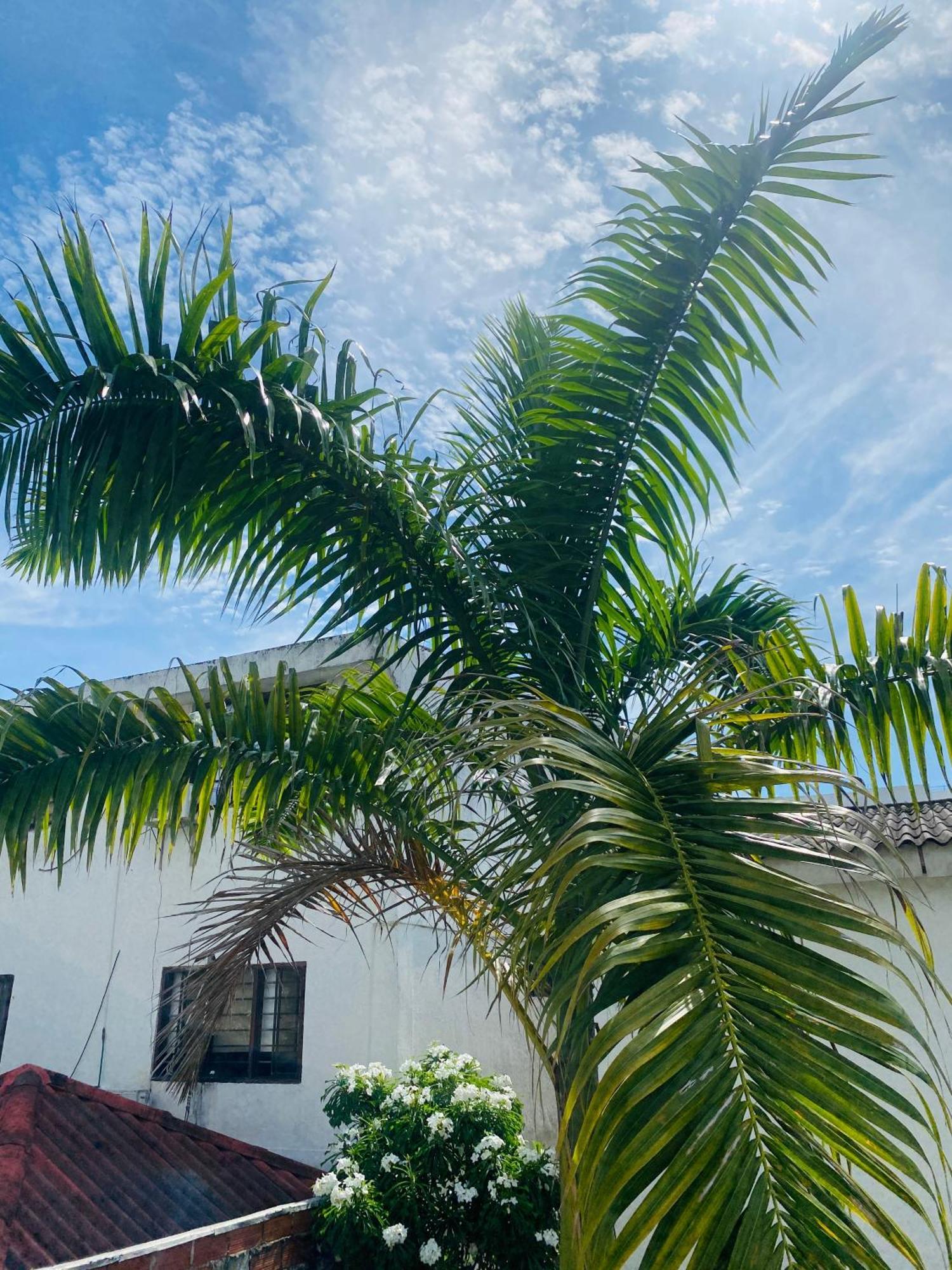 Pensión Paraiso Pie De La Popa Cartagena