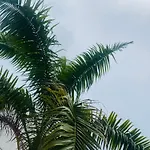 Paraiso Pie De La Popa