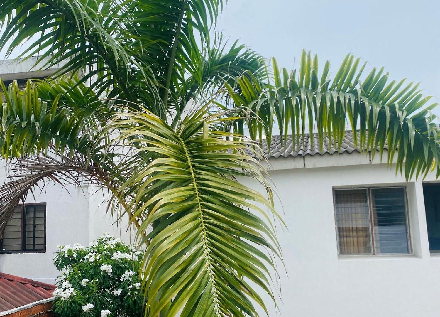 Pensión Paraiso Pie De La Popa