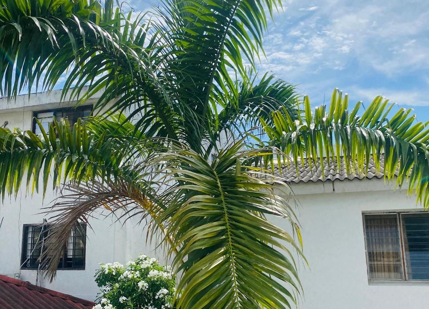 Pensión Paraiso Pie De La Popa 4*