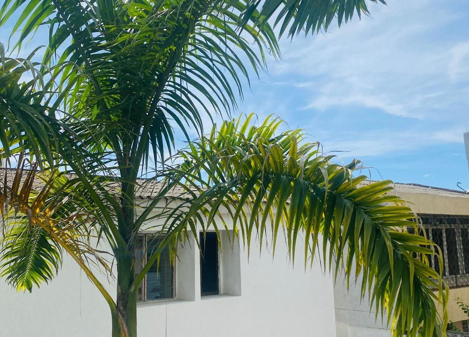 Paraiso Pie De La Popa Pensión 4*