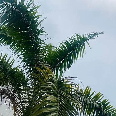 Paraiso Pie De La Popa Cartagena