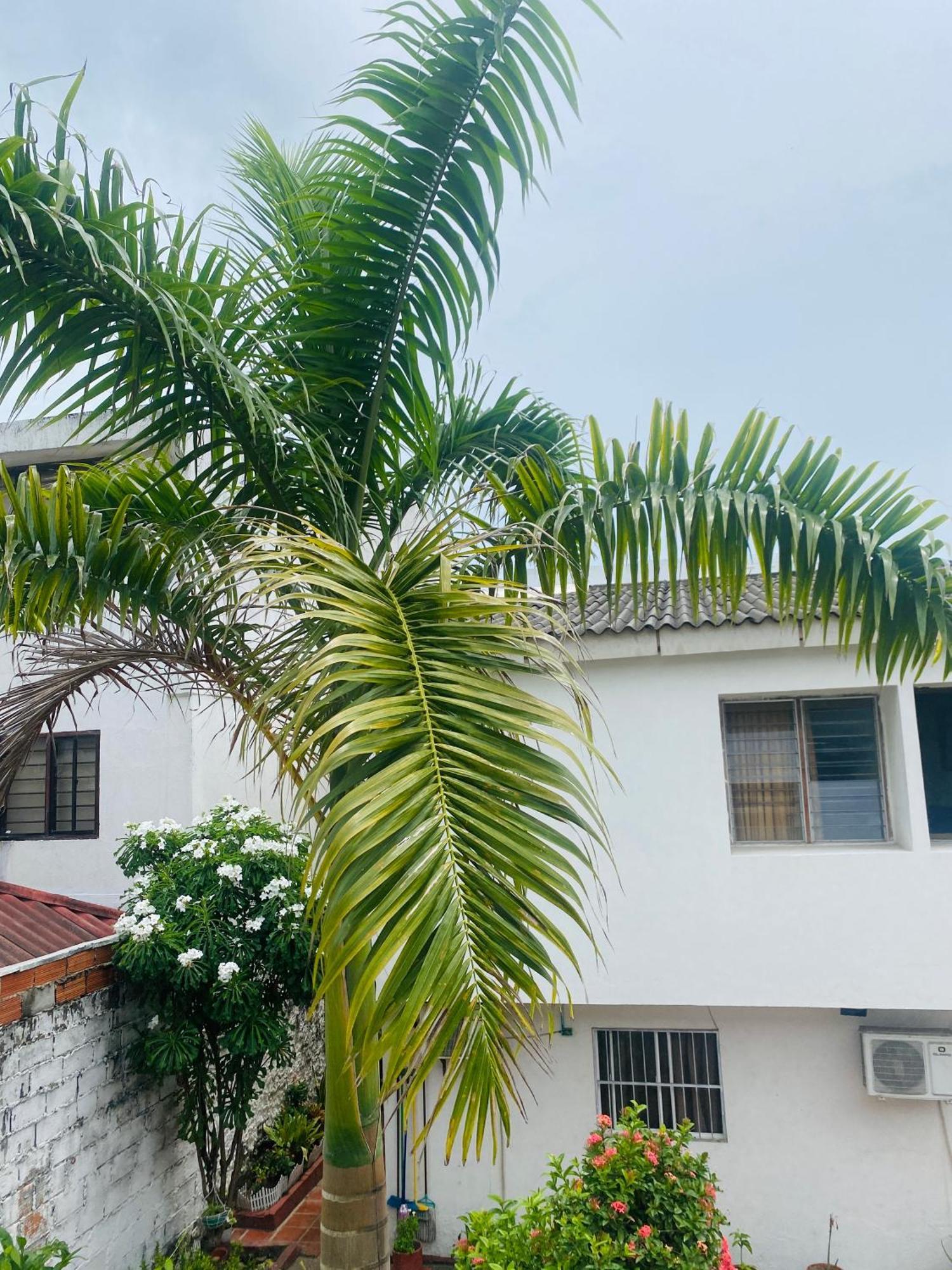 Guest house Paraiso Pie De La Popa