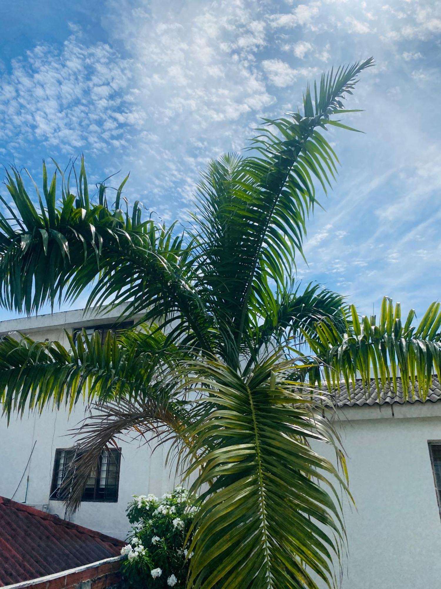 Paraiso Pie De La Popa