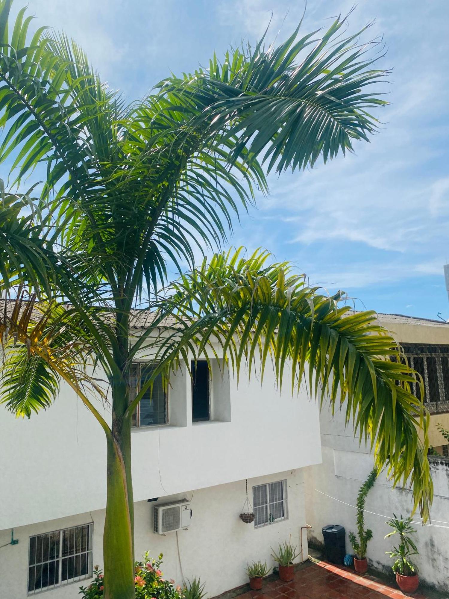 Paraiso Pie De La Popa Guest house 4*