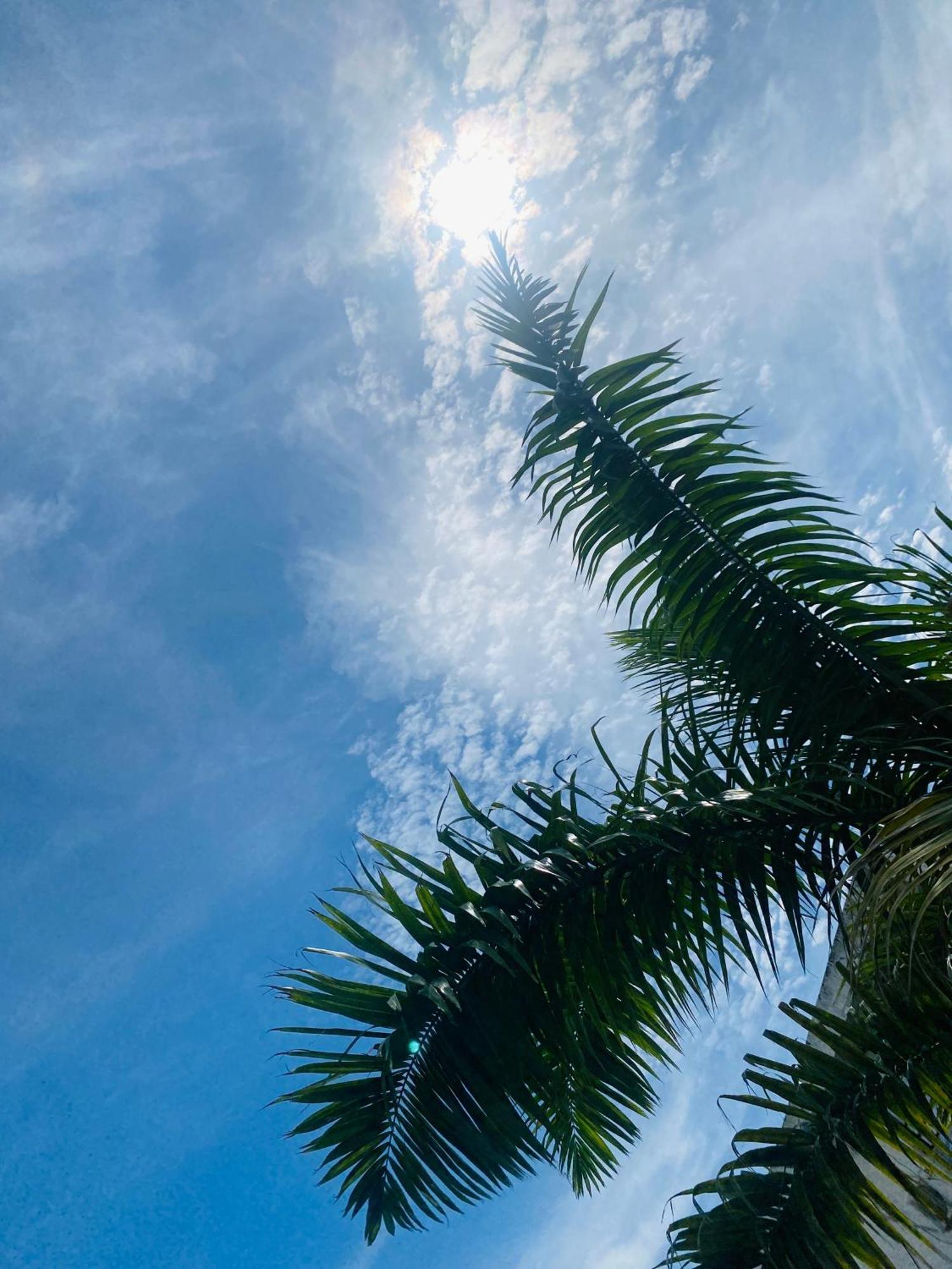 Paraiso Pie De La Popa 4* Cartagena