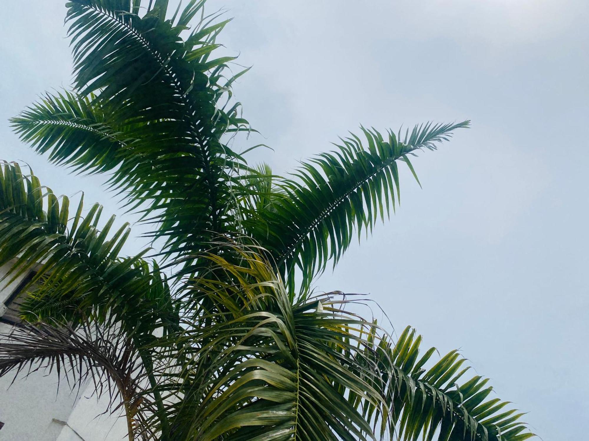 Paraiso Pie De La Popa Cartagena