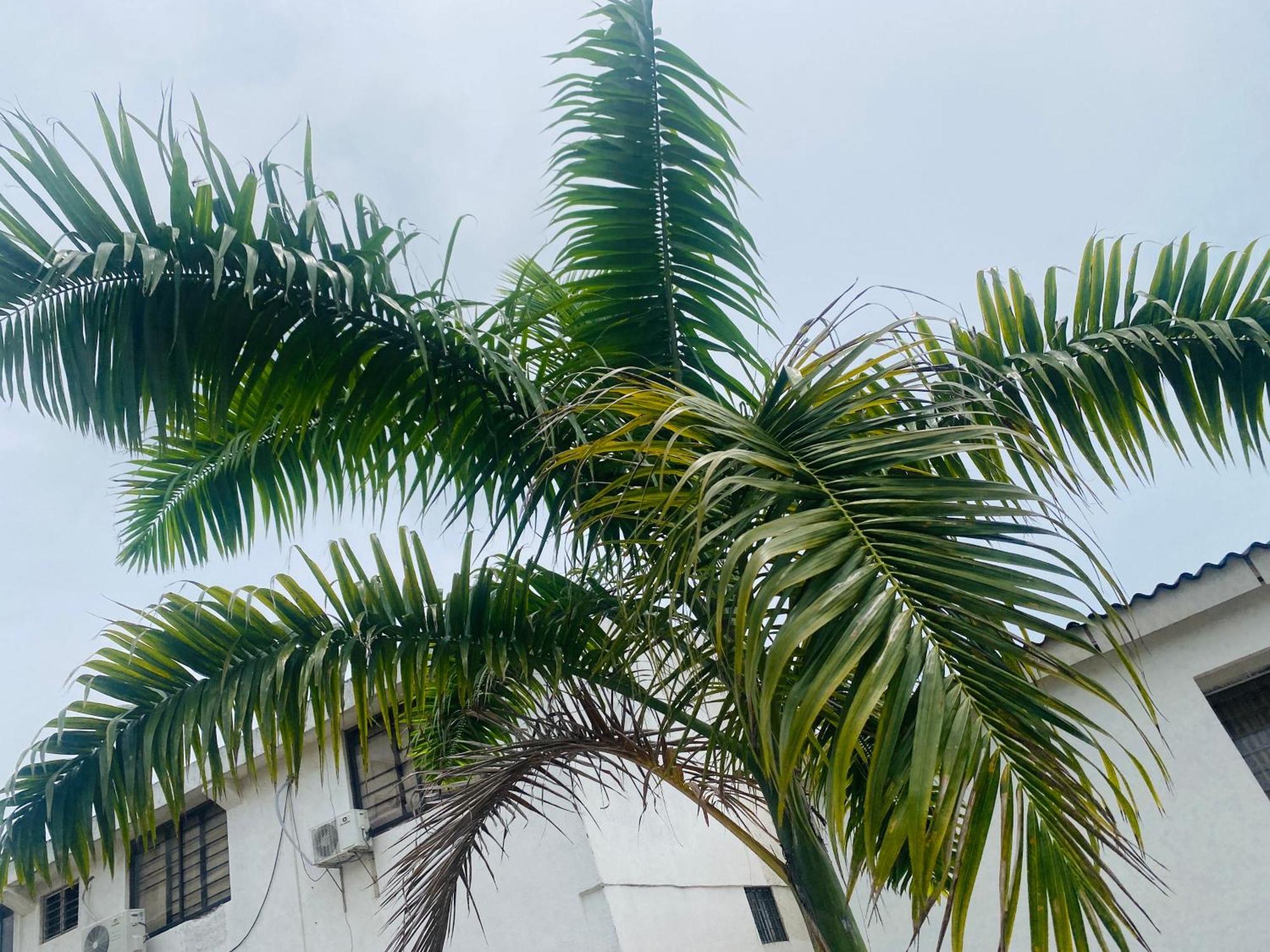 Pensión Paraiso Pie De La Popa Cartagena